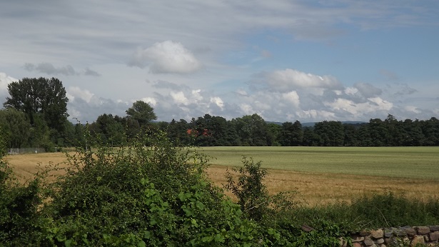 Blick aus dem Garten